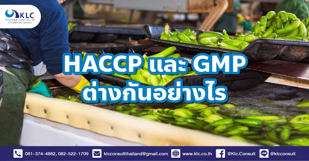 028_What is the difference between HACCP and GMP_V2-01
